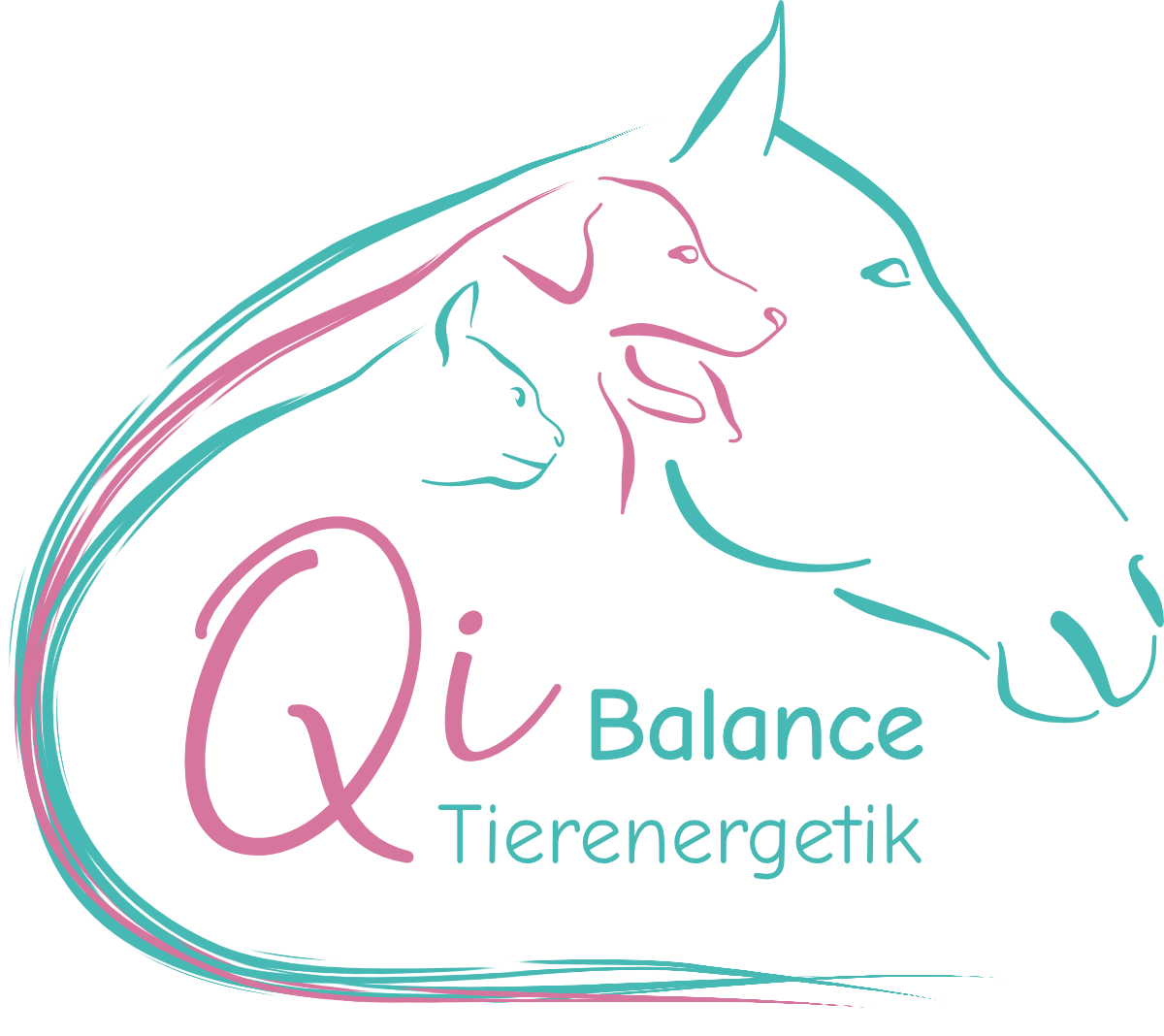 QiBalance Tierenergetik_Logo