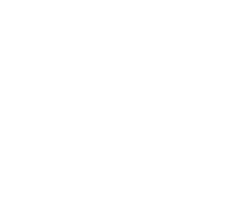 QiBalance Tierenergetik_Logo